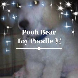 Meet your Posher, Deborah